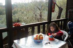 帕尔科·瓦肯泽（Parco vacanze Il Paese Di Cirib）