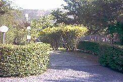 Il Paese Di CiribìCeriale公司