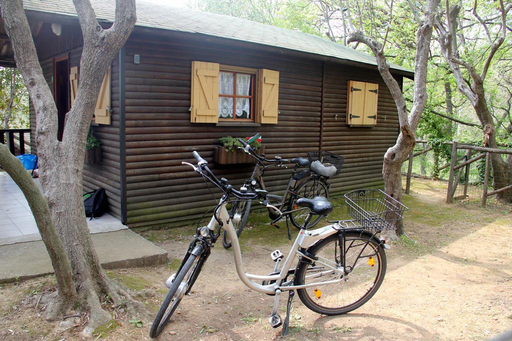 伊尔帕斯·迪西里布